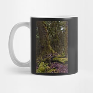 Fiordland 3 Mug